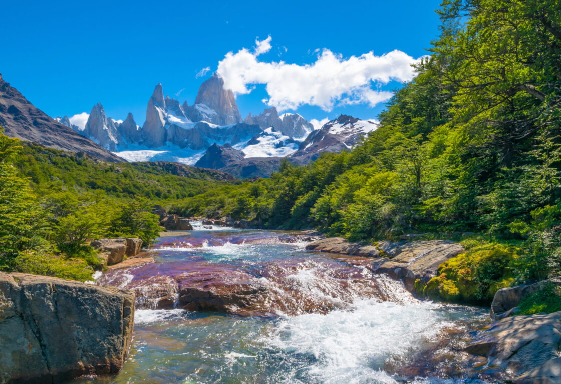 Wonderful view of Mount Fitz Roy (Cerro Fitz Roy) near the Poincenot camp in Los Glaciares National Park Patagonia - El Chalten, Argentina