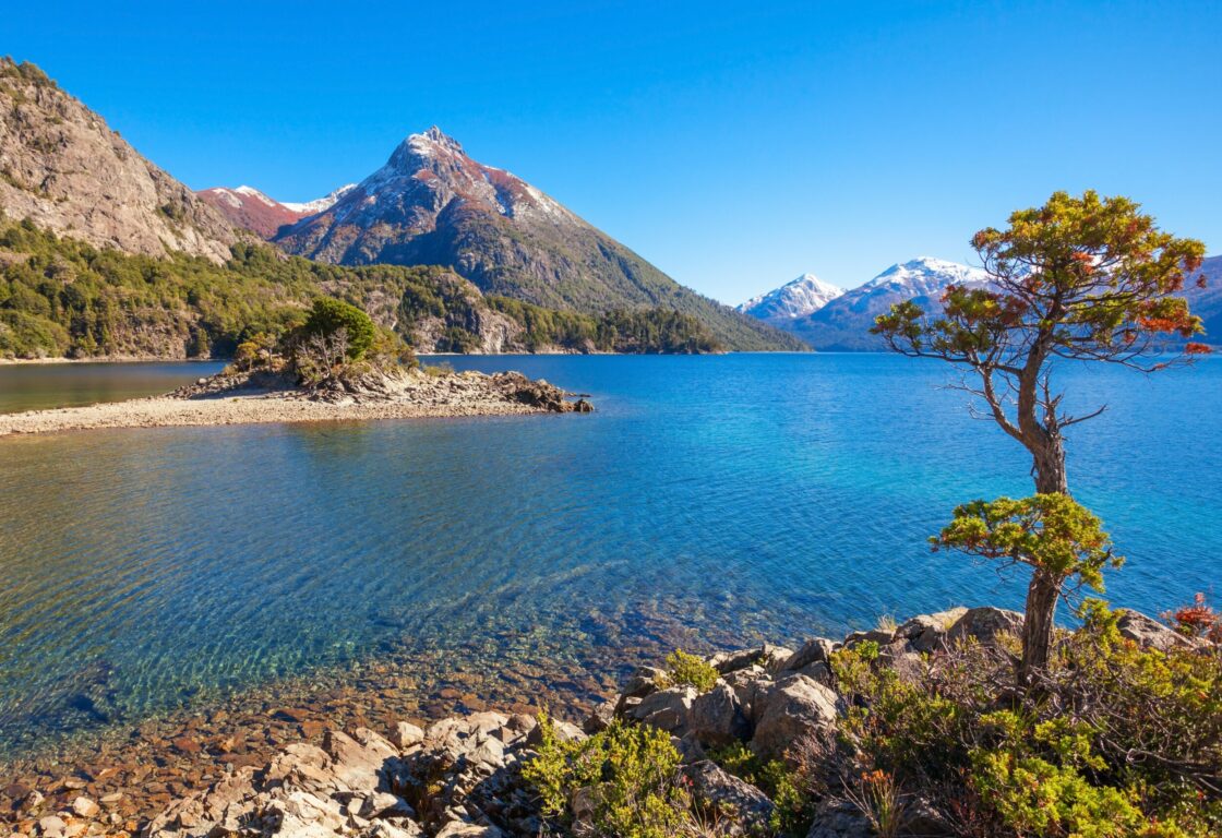 A tree standing at the edge of a lake, with mountains behind, in Nahuel Huapi National Park, Argentina