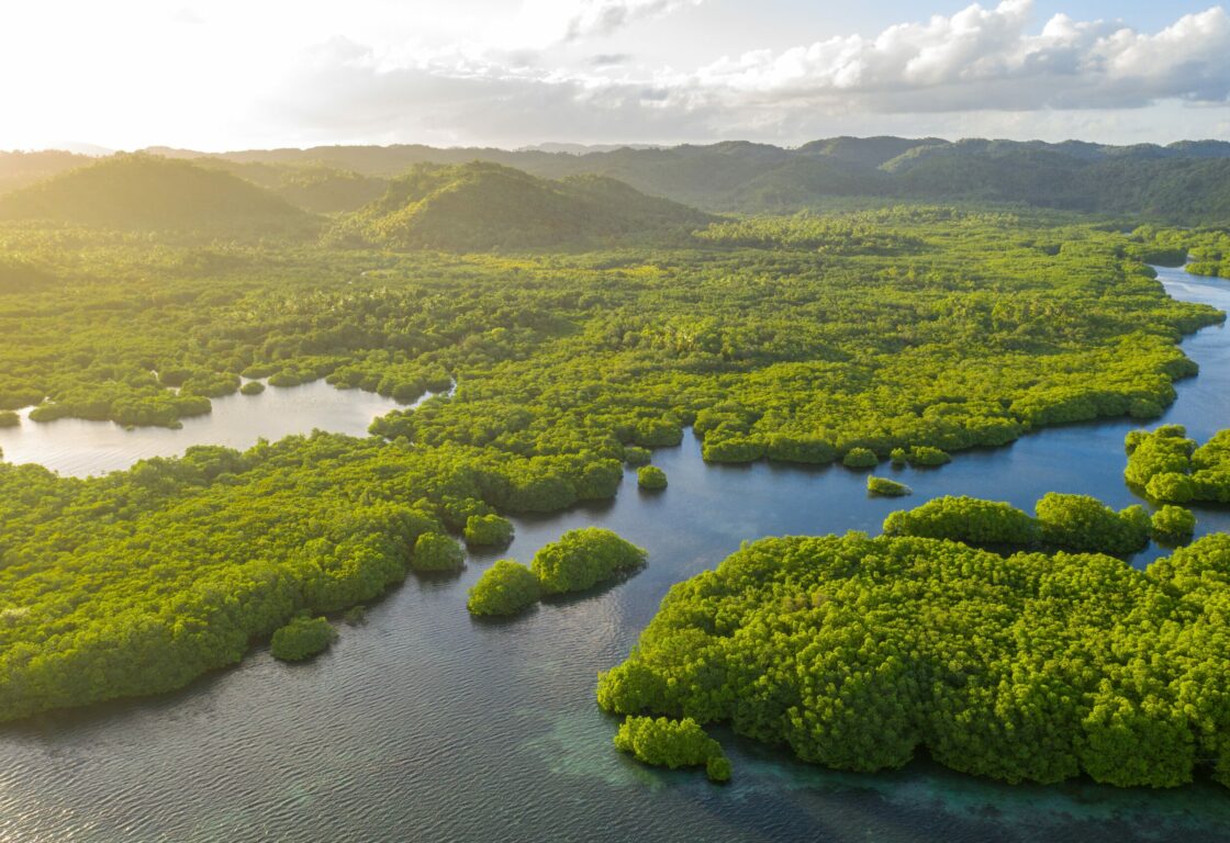 Aerial shot of sunrise over the Anavilhanas archipelago in the Brazilian Amazon