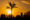 Palm tree and couple silhouetted against sunset light on Ipanema Beach, Rio
