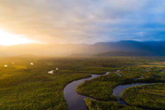 Aerial view of the Amazon river winding through the Amazon rainforest