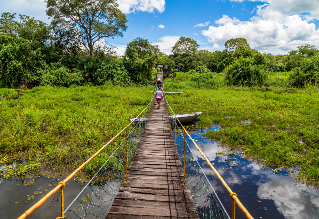 Tourists walking toward the camera over a wooden bridge across the wetlands of the Pantanal