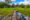 Tourists walking toward the camera over a wooden bridge across the wetlands of the Pantanal