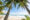 A white sands beach with blue shimmering water and palm trees fringing the shot.
