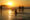 Groups of people stand and lie about in the sea, while the sun sets on the horizon