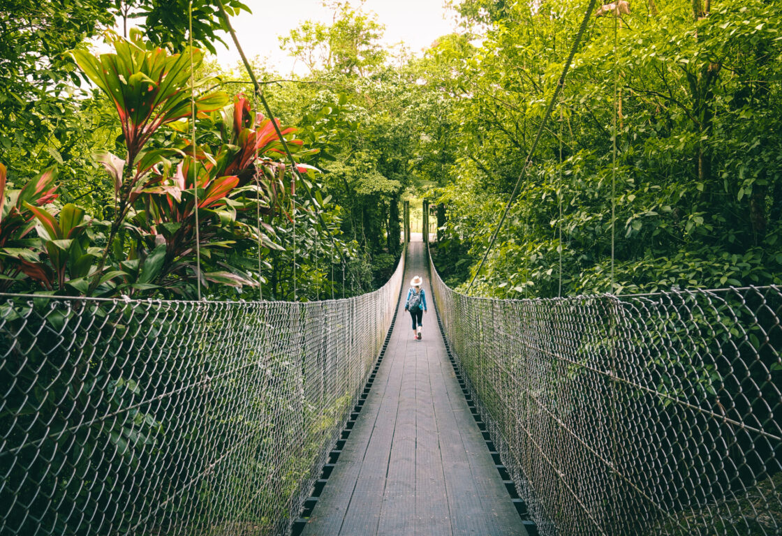 A person walking on a suspension bridge surrounded by lush greenery and trees, with a clear blue sky above. The scene includes elements like a canopy walkway, a fence, and the ropes of the bridge.