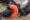Magnificent Frigatebird (Fregata magnificens) in Galapagos Islands, Ecuador
