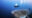 Whale Shark with SCUBA Diver in the