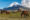 Wild-Horses-at-Cotopaxi-grazing on grass with mountains with snow peaks behind them - Ecuador