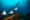 Black spotted eagle rays swimming in tropical underwaters. Mobula ray in underwater world. Observation of animal world. Scuba diving adventure in Ecuador coast of Galapagos