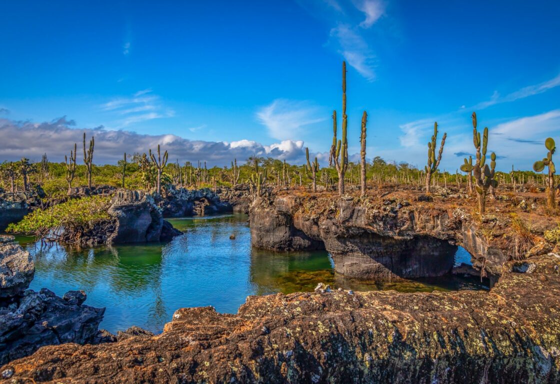 landscape of Isabela Island Galapagos