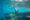Curious sealions approach unrecognizable snorkelers on an underwater eco-tour
