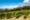 A lush vineyard spreads under a bright blue sky, with rows of vibrant green grapevines. Trees line the horizon, backed by majestic mountains.