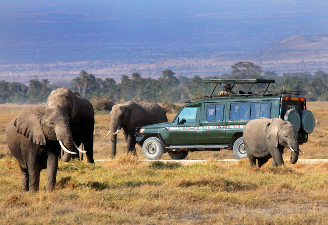 khaki green safari jeep with elephants all around in a dry grassy plain