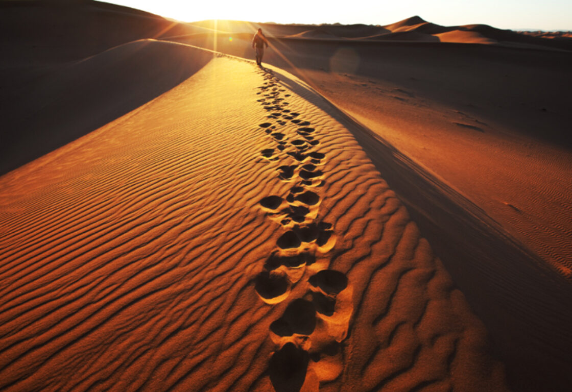 Footprints, leading up to a person in the distance, on the peak of a mighty sandy dune. The sun rises, casting a golden glow over everything.