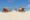 family building a sandcastle at the beach in summer - vacation time