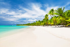 white sandy beach
