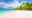 white sandy beach