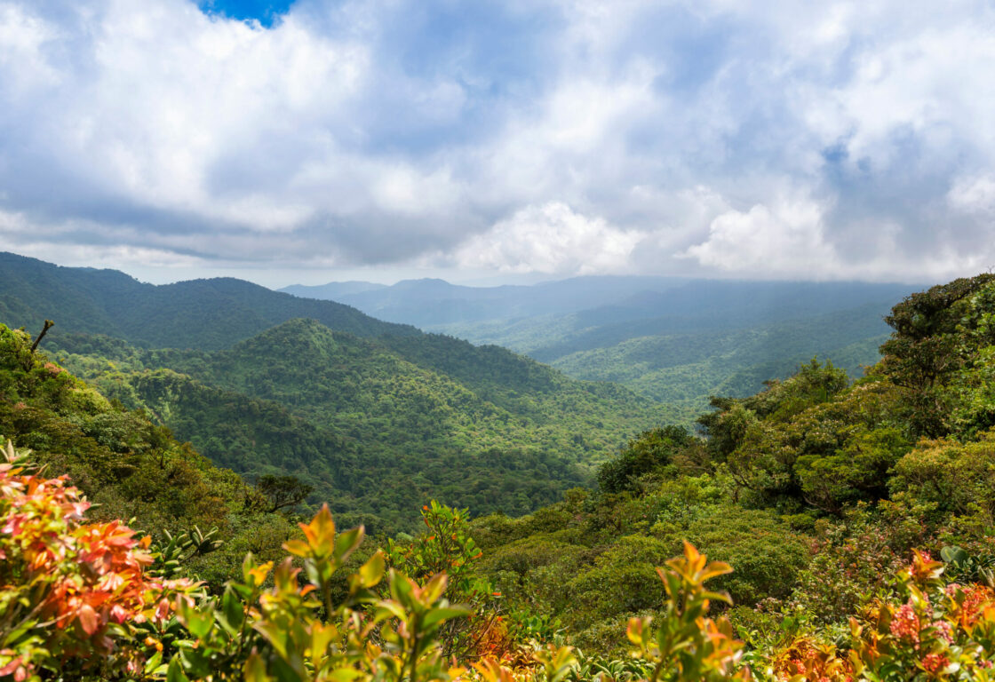 A wide shot of a lush green landscape with green rolling mountains