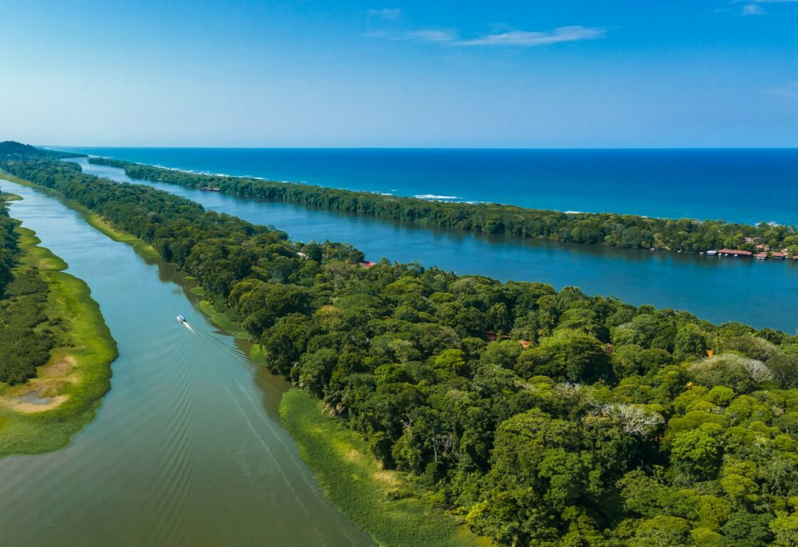 tortuguero canals divided by green rainforest in stripes