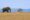 a view of a safari jeep on a game drive with one solo elephant oposite the jeep in the dry grass