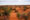 Beautiful landscape of the sand dunes in Kalahari desert