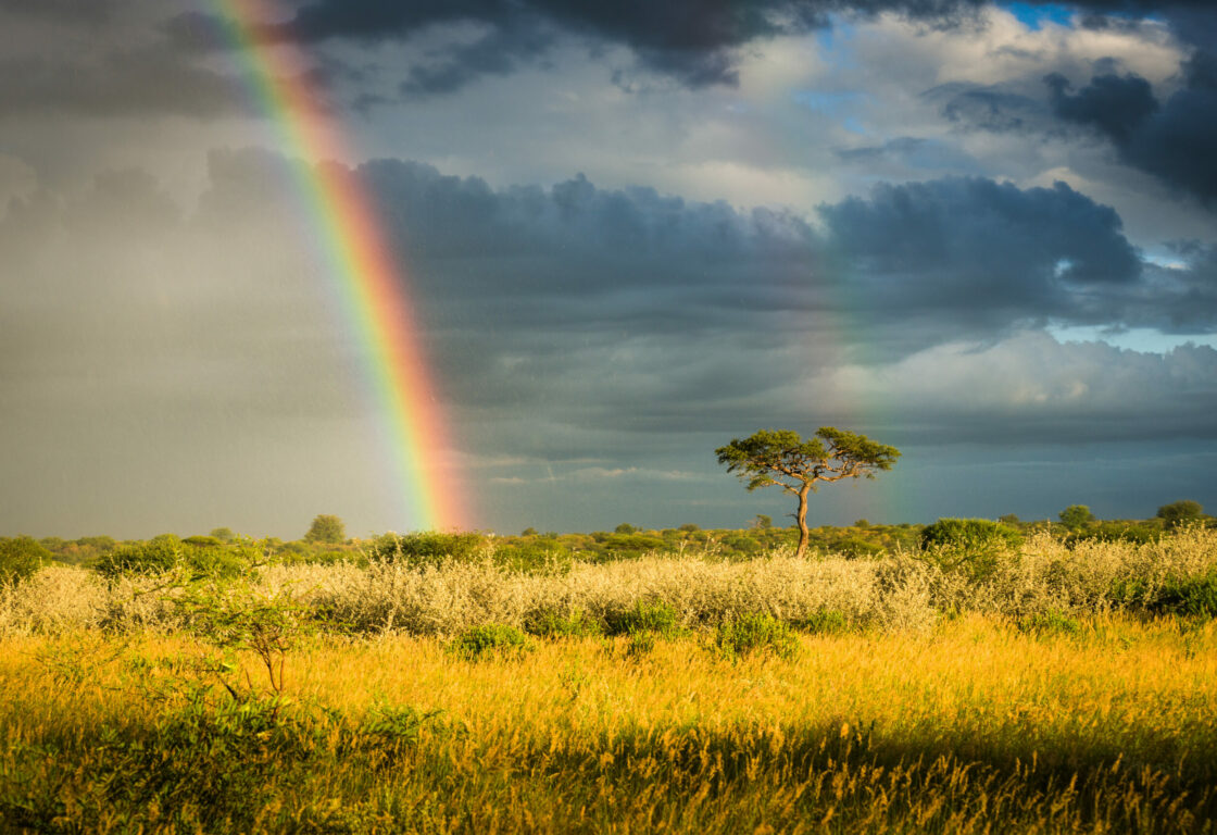 Rain and a rainbow in the Kalahari Desert, Botswana.