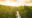 View over sunset over Amazon river with rainforest in Brazil.