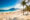 Palms and Two Brothers Mountain on Ipanema beach in Rio de Janeiro. Brazil.