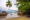 an L shaped palm tree hanging above the sand and the ocean Praia do Aventureiro (Aventureiro Beach), at Ilha Grande