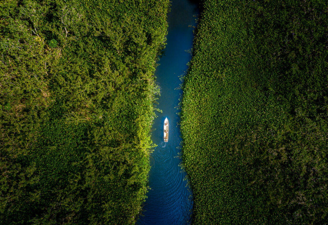Aerial view of mangrove and lake in osa peninsula