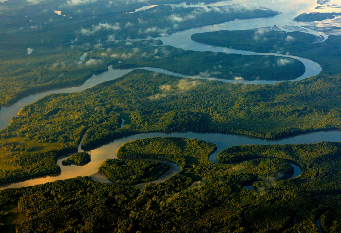 River sunrise in tropic Costa Rica, Corcovado NP. Lakes and rivers, view from airplane. Green grass in Central America. Trees with water in rainy season