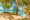 Punta Uva, Puerto Viejo, Costa Rica. March 2018. A view of canoes on the beach at Punta Uva in Costa Rica
