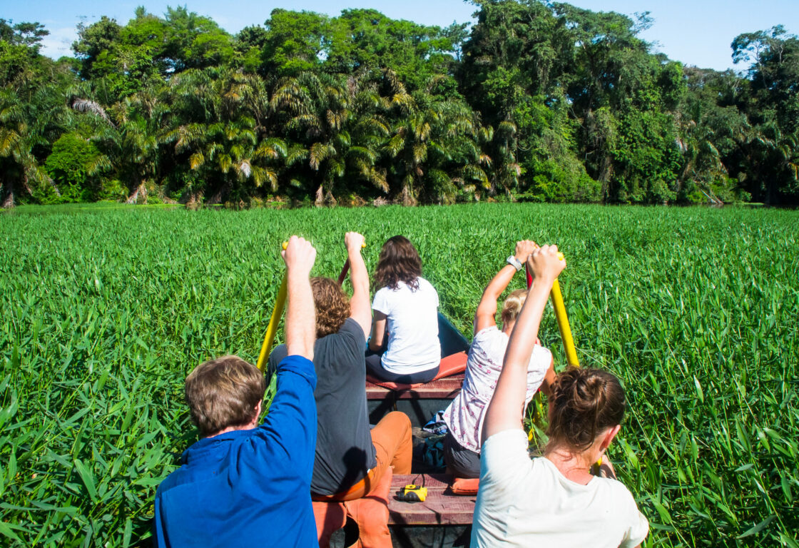 froup of people in blue and white tishirts kayaking through Tortuguero green mangroves