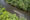 Tortuguero river cruise from the sky