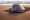Olive turtle (Pacific coast of Guanacaste) on the Ostional beach during the ocean sunset,
