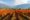 Vineyards and wine fields in Chile - Valle Central Santiago district