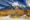 Wild guanacos in Torres del Paine National Park,