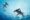Hammerhead shark (Sphyrnidae) swimming in tropical underwaters