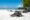 Iguanas perches on small rock by the shore of a sandy beach.