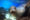 Sea,Lion,Swimming,Underwater,In,Tidal,Lagoon,In,The,Galapagos