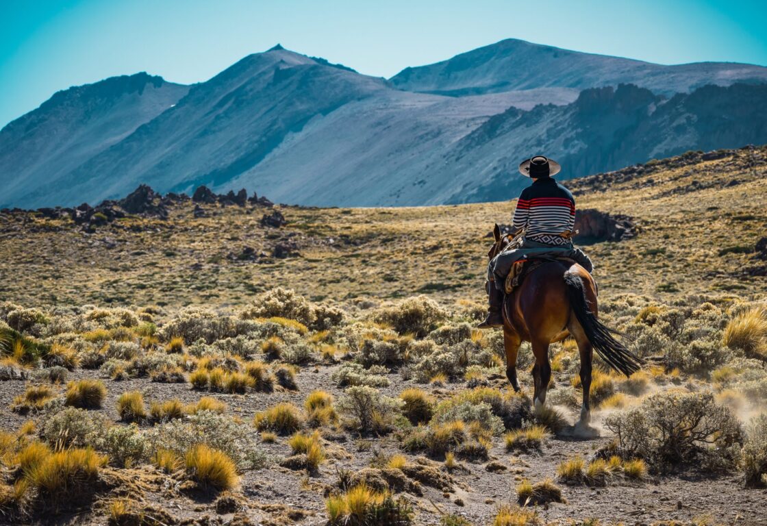 Gaucho on horseback in Patagonia