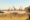 Panoramic landscape with herd of giraffes, safari game drive vehicle and a tourist on a hat in front.