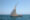 a traditional dhow boat with a white sail positioned at the front of the boat glides through peaceful ocean waters, carrying 3 or 4 passengers under a clear blue sky.