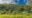 Impenetrable thickets of tropical rain forest. Lush vegetation - trees, bushes, tall green grass. Clouds in the blue sky. Madagascar. Vakona Forest Reserve