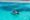 A small narrow row boat with two fishermen in it, floats on the completely still tropical Mozambique sea. The water is light turquoise and completely clear, revealing coral reefs below the water and small fish.