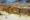 a 280 million years old tree trunks lying in the desert of Damaraland