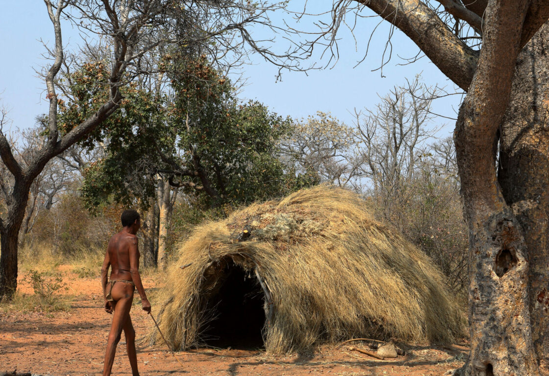 an african bushman walks towards his straw mud hut with a tree on each side