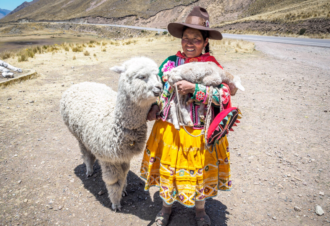 A native Peruvian woman in yellow skirt with pink patterned top and a sun hat with her white alpaca.