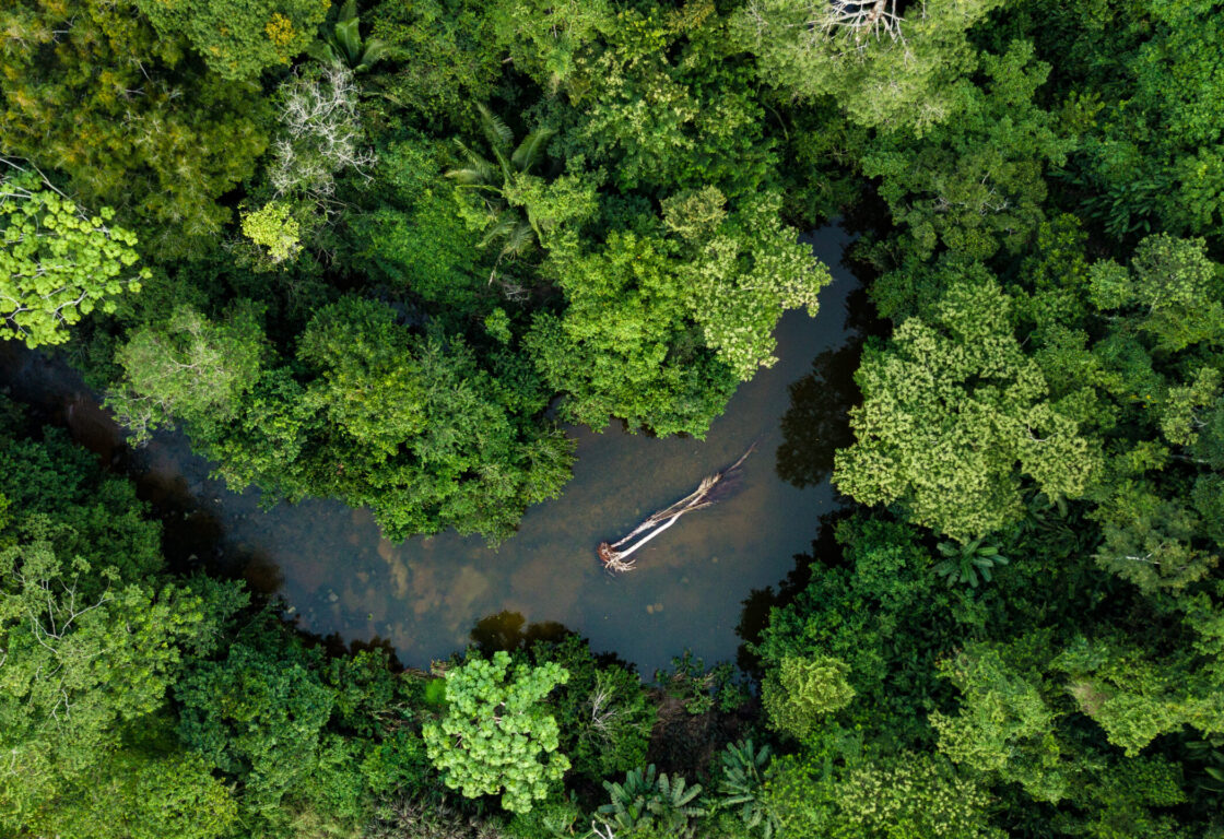 Amazon rainforest split in two by a river and a small boat in the middle